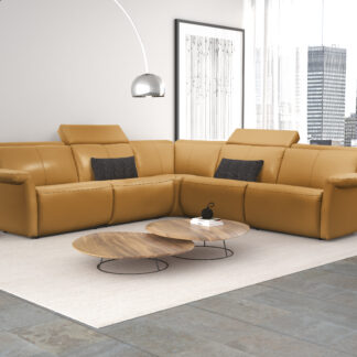 ELRAN 3001 siège condo 2 inclinable électrique